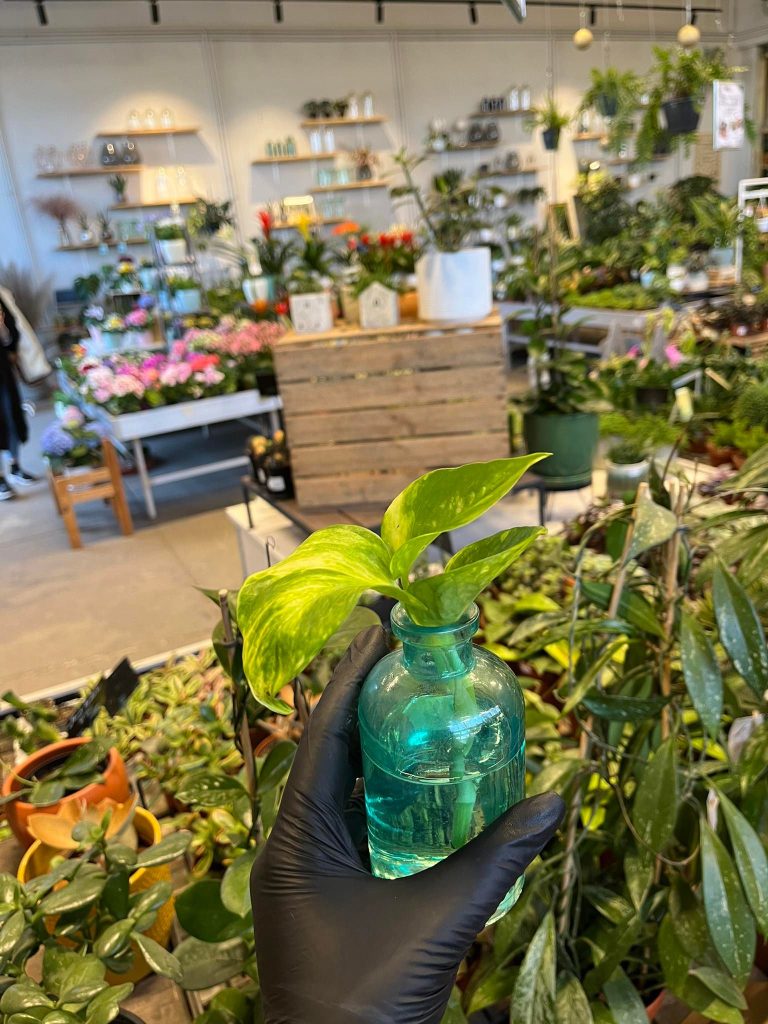 277385014_4889413824486189_2765254234546723137_n