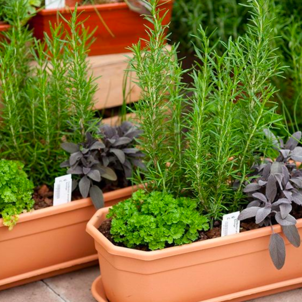 kodulehe-koolitused-2