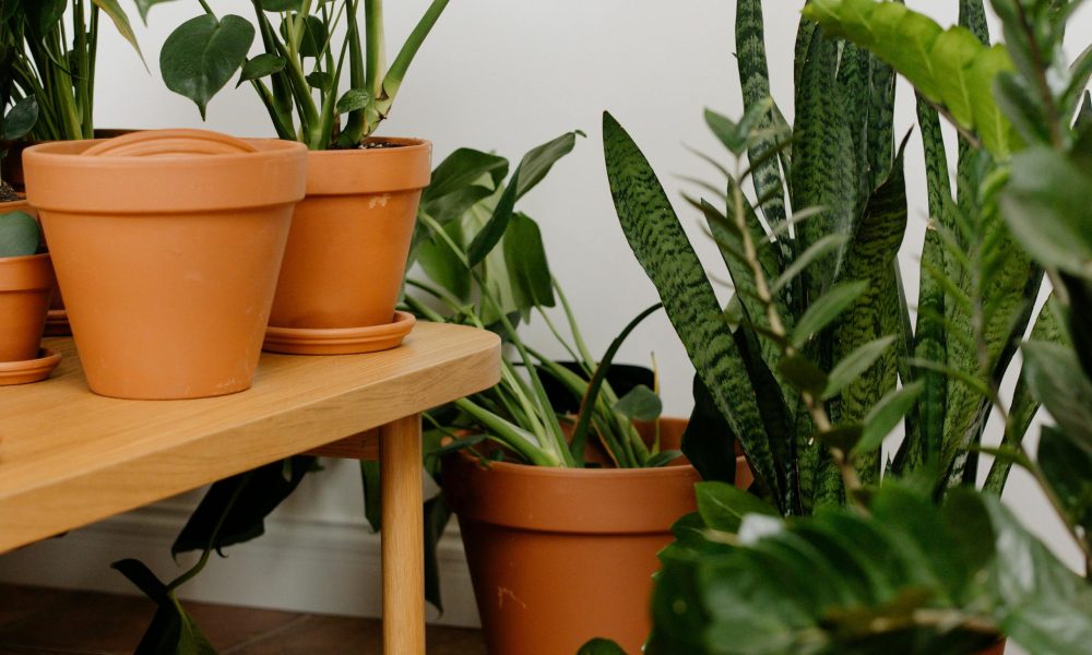 pexels-cottonbro-studio-9710608-edited