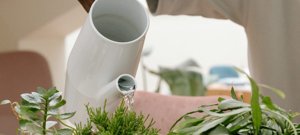 pexels-cottonbro-studio-9710651-edited